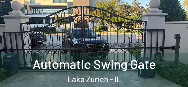  Automatic Swing Gate Lake Zurich - IL