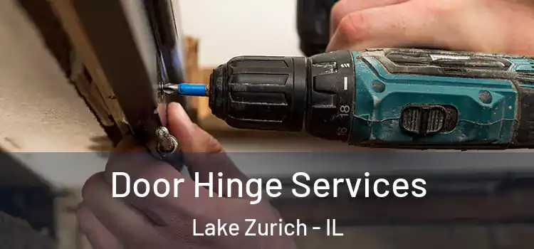  Door Hinge Services Lake Zurich - IL