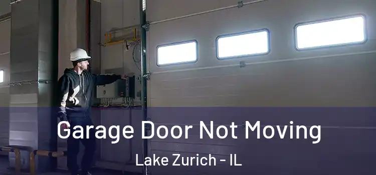  Garage Door Not Moving Lake Zurich - IL