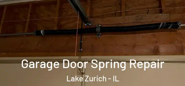  Garage Door Spring Repair Lake Zurich - IL