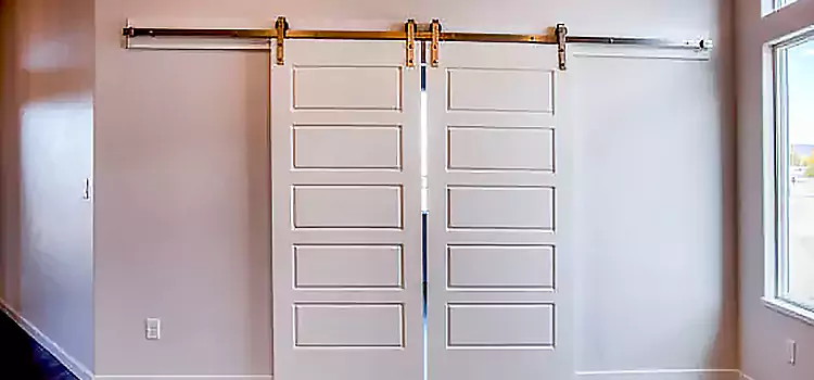 Glass Barn Door with Installation Hardware Kit Lake Zurich