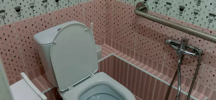 Meeting Diverse Needs With Accessible Restroom Solutions in Lake Zurich, IL