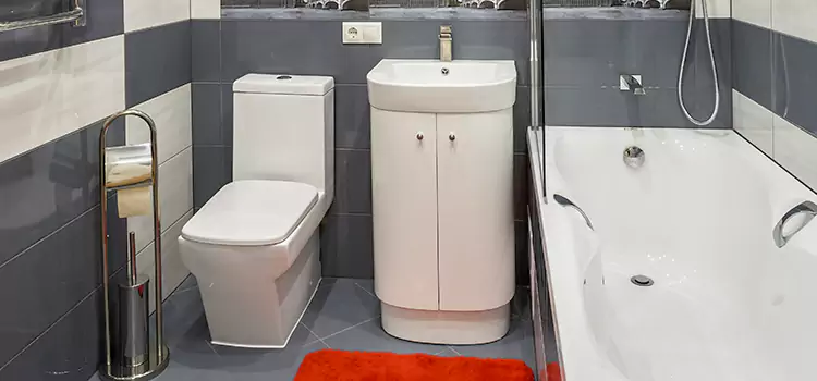 Hansgrohe Shaving Mirror Lake Zurich