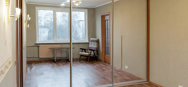 Mirror Closet Door Roller Replacement Lake Zurich